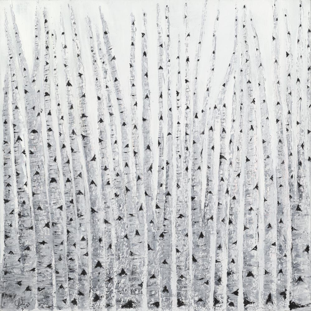 Birch Trees