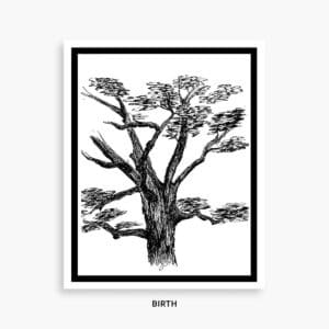 BIRTH LIFE OF A TREE