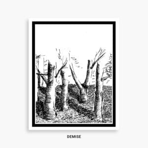DEMISE LIFE OF A TREE