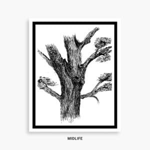 MIDLIFE LIFE OF A TREE