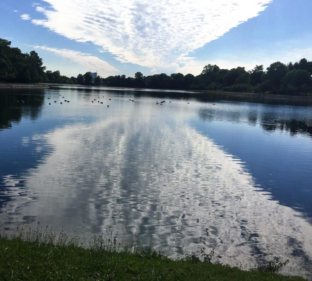 Reflection-7