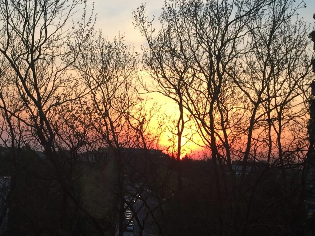 Sunset 2