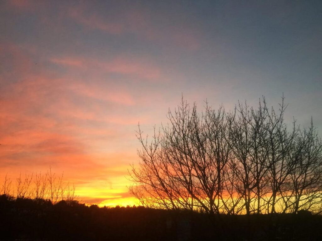 Sunset 4