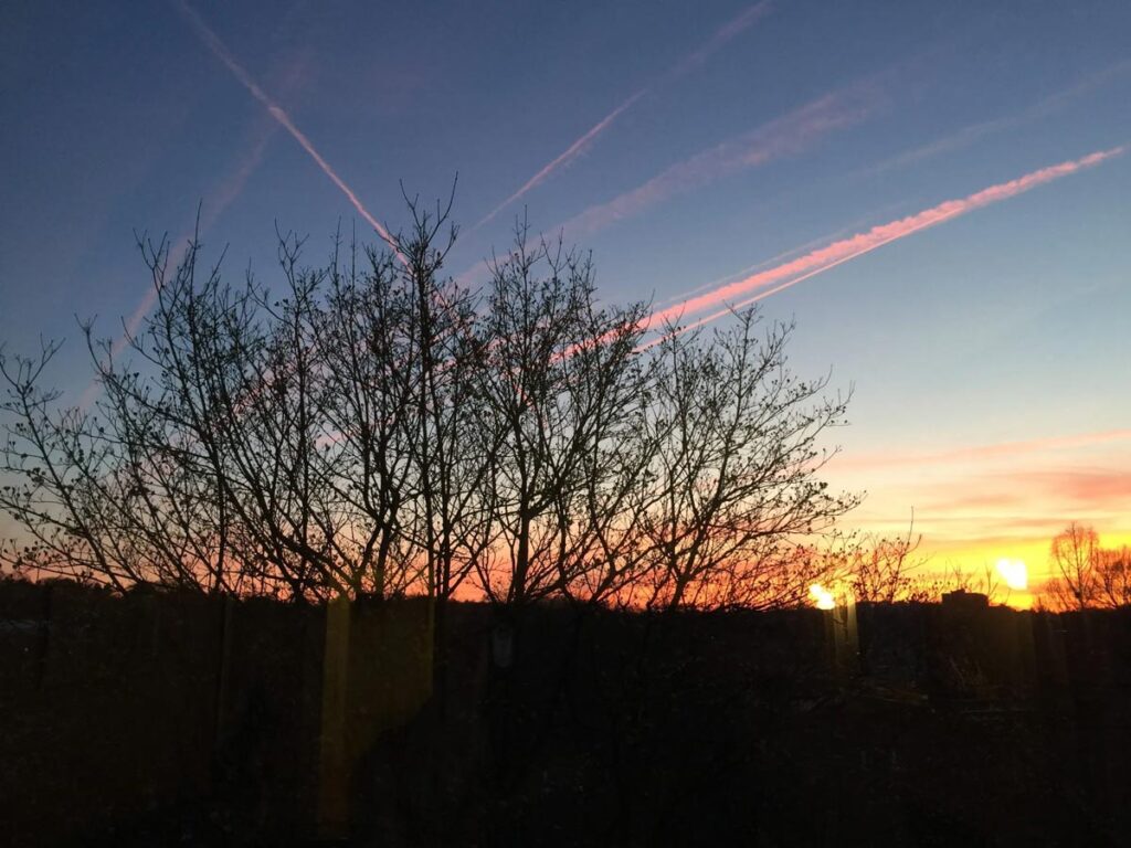 Sunset 7